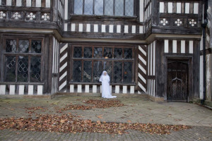 Ghostly apparition.jpg - A Case of History for Wythenshawe Hall
